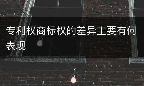 专利权商标权的差异主要有何表现