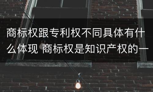 商标权跟专利权不同具体有什么体现 商标权是知识产权的一种吗