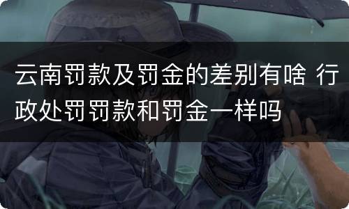 云南罚款及罚金的差别有啥 行政处罚罚款和罚金一样吗