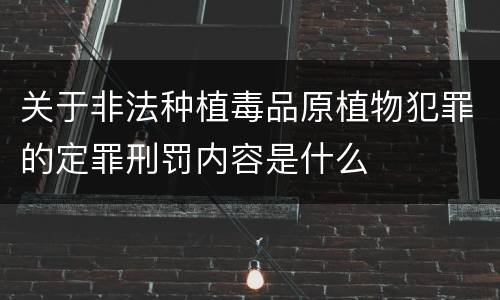 关于非法种植毒品原植物犯罪的定罪刑罚内容是什么