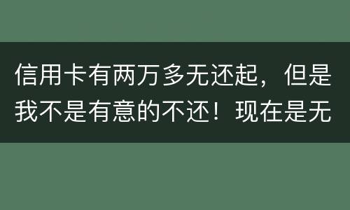 信用卡有两万多无还起，但是我不是有意的不还！现在是无钱还，银行会要怎样样