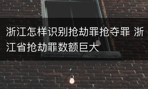 浙江怎样识别抢劫罪抢夺罪 浙江省抢劫罪数额巨大