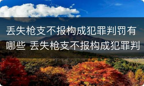 丢失枪支不报构成犯罪判罚有哪些 丢失枪支不报构成犯罪判罚有哪些情况