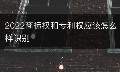 2022商标权和专利权应该怎么样识别