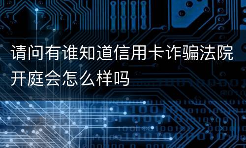 请问有谁知道信用卡诈骗法院开庭会怎么样吗