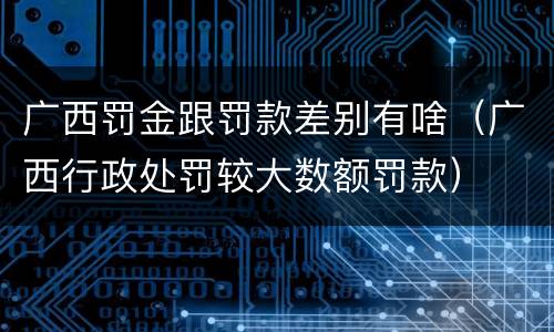 广西罚金跟罚款差别有啥（广西行政处罚较大数额罚款）