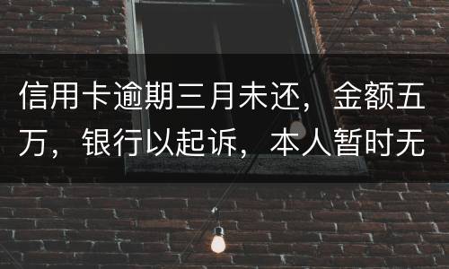 信用卡逾期三月未还，金额五万，银行以起诉，本人暂时无偿还能力