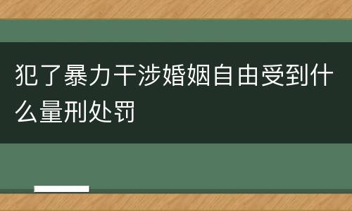 犯了暴力干涉婚姻自由受到什么量刑处罚