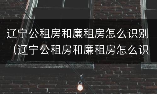 辽宁公租房和廉租房怎么识别（辽宁公租房和廉租房怎么识别出来的）