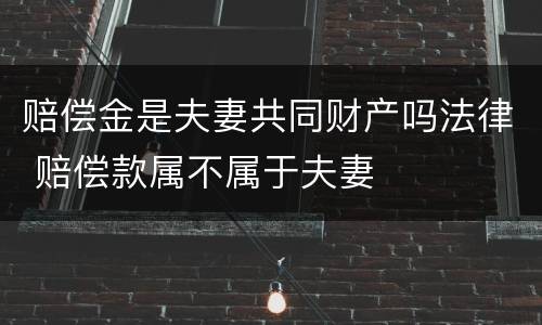 赔偿金是夫妻共同财产吗法律 赔偿款属不属于夫妻