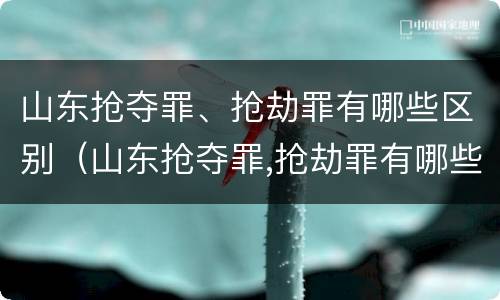 山东抢夺罪、抢劫罪有哪些区别（山东抢夺罪,抢劫罪有哪些区别呢）