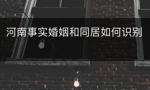 河南事实婚姻和同居如何识别