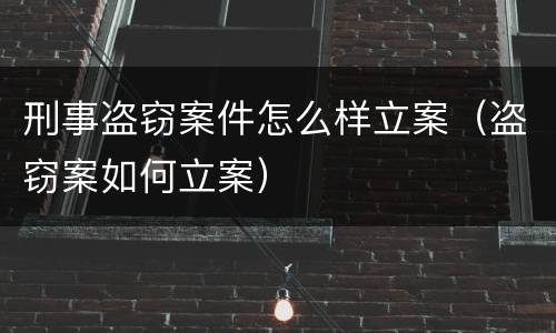 刑事盗窃案件怎么样立案（盗窃案如何立案）