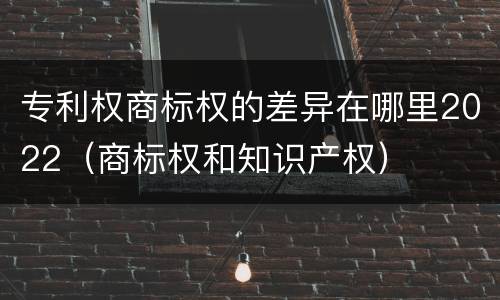 专利权商标权的差异在哪里2022（商标权和知识产权）