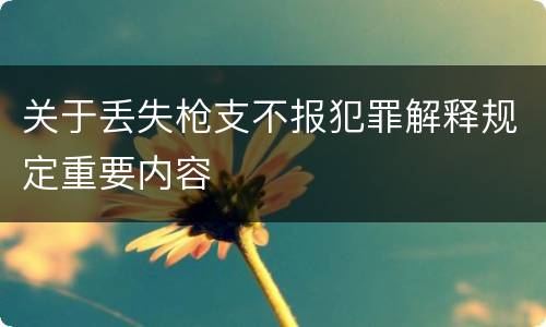 关于丢失枪支不报犯罪解释规定重要内容