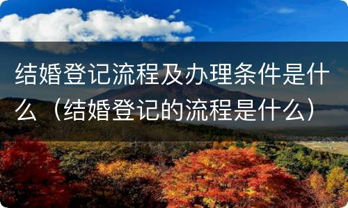 结婚登记流程及办理条件是什么（结婚登记的流程是什么）