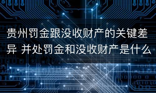 贵州罚金跟没收财产的关键差异 并处罚金和没收财产是什么意思