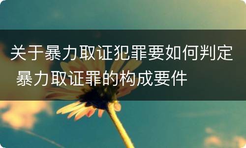 关于暴力取证犯罪要如何判定 暴力取证罪的构成要件