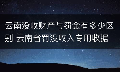 云南没收财产与罚金有多少区别 云南省罚没收入专用收据