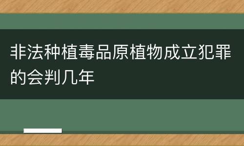 非法种植毒品原植物成立犯罪的会判几年