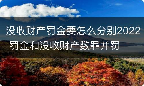 没收财产罚金要怎么分别2022 罚金和没收财产数罪并罚