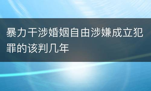 暴力干涉婚姻自由涉嫌成立犯罪的该判几年