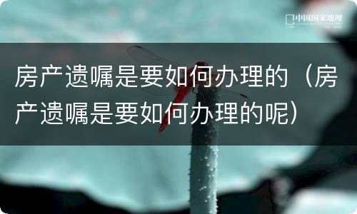 房产遗嘱是要如何办理的（房产遗嘱是要如何办理的呢）