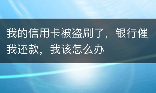 我的信用卡被盗刷了，银行催我还款，我该怎么办