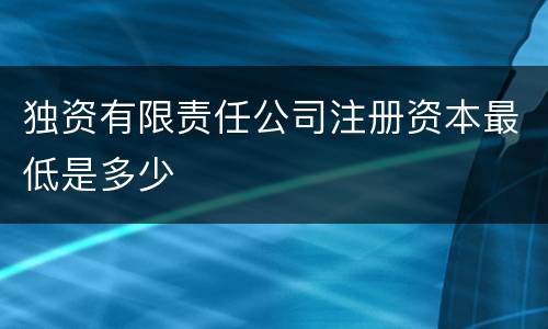 独资有限责任公司注册资本最低是多少