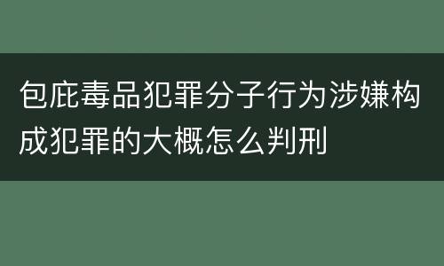 包庇毒品犯罪分子行为涉嫌构成犯罪的大概怎么判刑