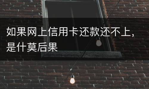 如果网上信用卡还款还不上，是什莫后果