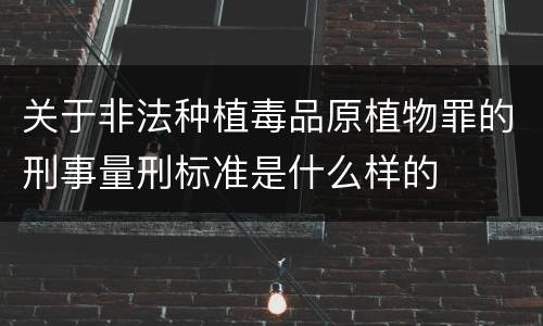 关于非法种植毒品原植物罪的刑事量刑标准是什么样的