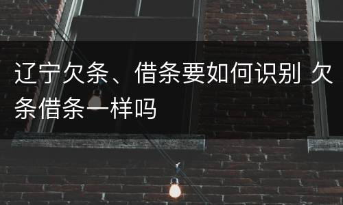 辽宁欠条、借条要如何识别 欠条借条一样吗