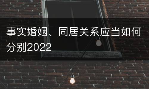 事实婚姻、同居关系应当如何分别2022