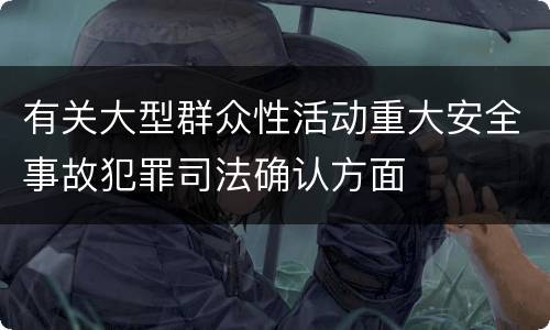 有关大型群众性活动重大安全事故犯罪司法确认方面