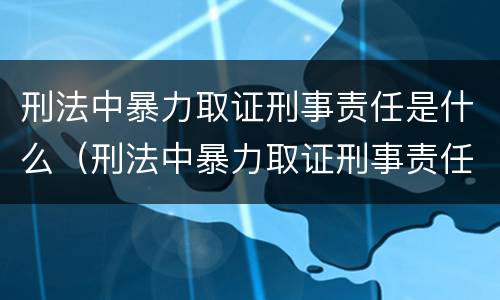 刑法中暴力取证刑事责任是什么（刑法中暴力取证刑事责任是什么意思）