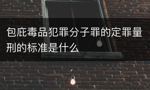 包庇毒品犯罪分子罪的定罪量刑的标准是什么