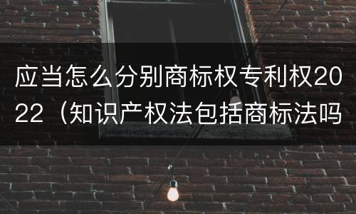 应当怎么分别商标权专利权2022（知识产权法包括商标法吗）