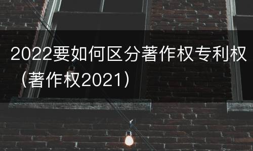 2022要如何区分著作权专利权（著作权2021）