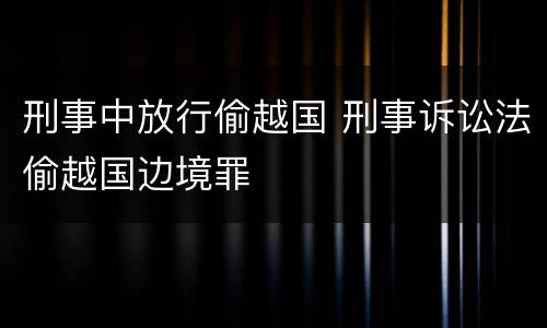 刑事中放行偷越国 刑事诉讼法偷越国边境罪