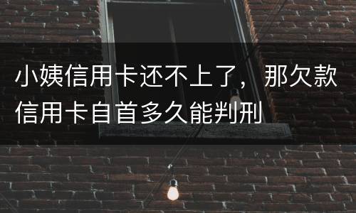 小姨信用卡还不上了，那欠款信用卡自首多久能判刑