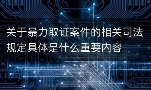 关于暴力取证案件的相关司法规定具体是什么重要内容