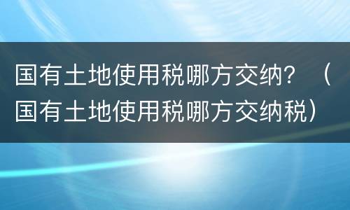 国有土地使用税哪方交纳？（国有土地使用税哪方交纳税）