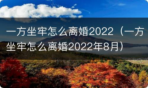 一方坐牢怎么离婚2022（一方坐牢怎么离婚2022年8月）