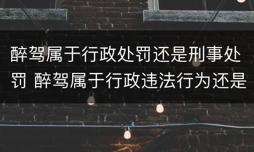 醉驾属于行政处罚还是刑事处罚 醉驾属于行政违法行为还是刑事违法行为