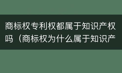 商标权专利权都属于知识产权吗（商标权为什么属于知识产权）