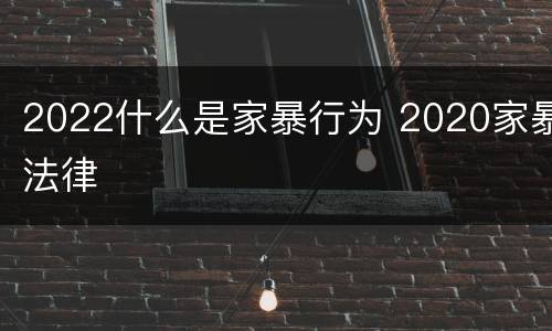 2022什么是家暴行为 2020家暴法律