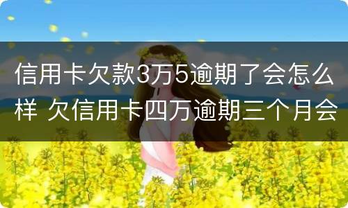 信用卡欠款3万5逾期了会怎么样 欠信用卡四万逾期三个月会怎么样