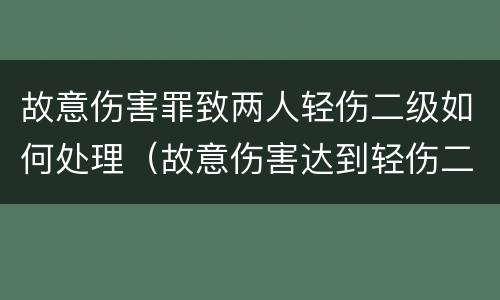 故意伤害罪致两人轻伤二级如何处理（故意伤害达到轻伤二级应负什么责任?）