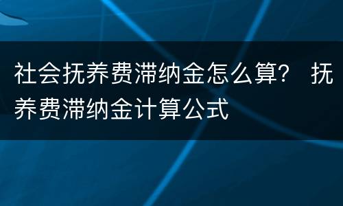 社会抚养费滞纳金怎么算？ 抚养费滞纳金计算公式